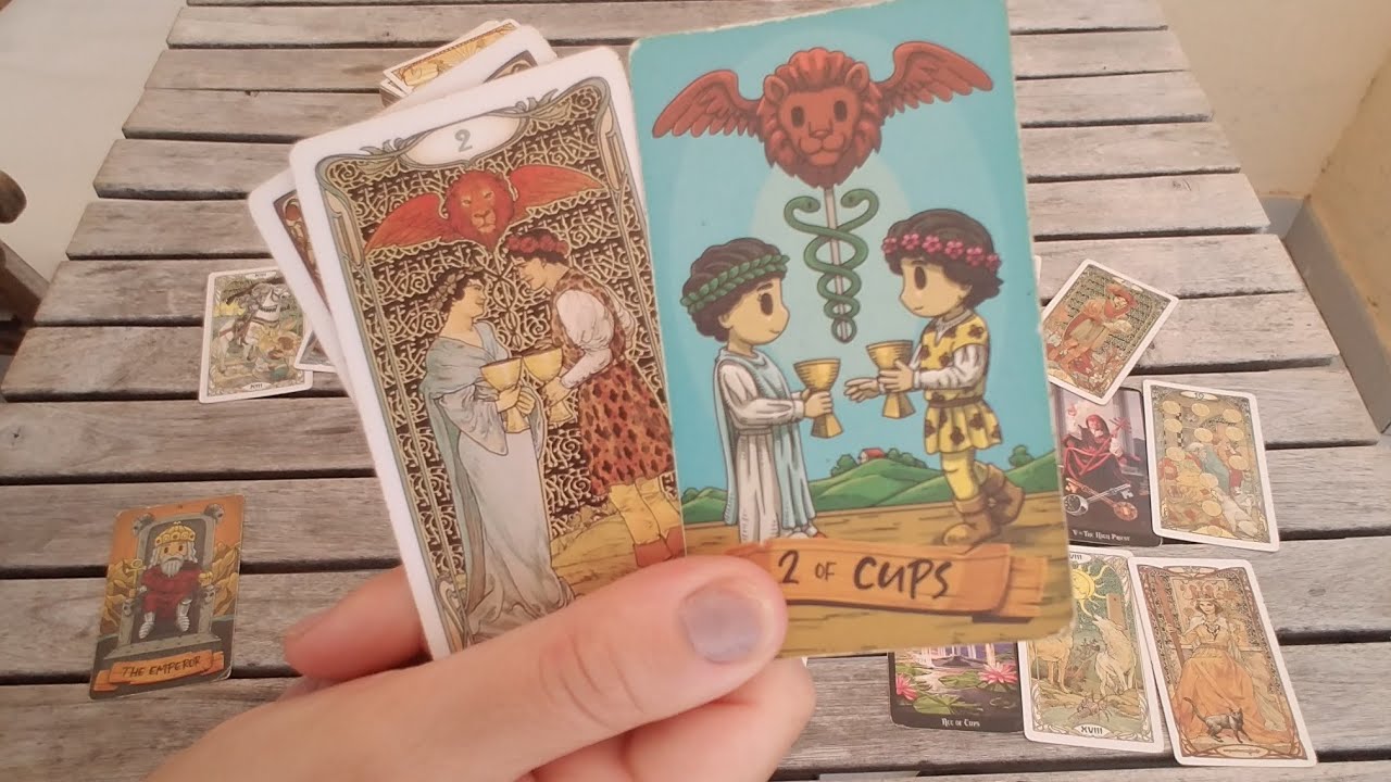 𝐈𝐍 𝟒𝟖 𝐎𝐑𝐄 𝐒𝐄 𝐈𝐍𝐓𝐀𝐌𝐏𝐋𝐀 𝐂𝐄𝐕𝐀 𝐈𝐍𝐓𝐄𝐑𝐄𝐒𝐀𝐍𝐓🙄🤔🤩🤩