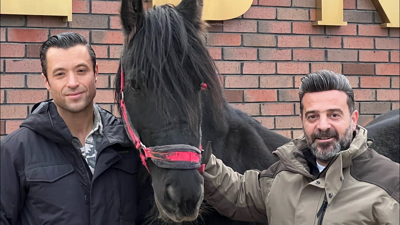 DÜNYANIN EN DEĞERLİ ATLARINDAN ÖRNEKLER VE BİNİCİLİK! Eskişehir Binicilik Kulübü! EBK