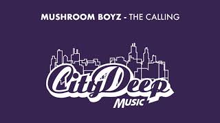 Mushroom Boyz - Presence