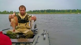 Хорошие лещи и чехони на подпуск и кольцо.Рыбалка на Волге в Великом враге.