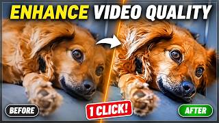 Enhance Video Quality in 1 Click | AI Video Enhancer Online