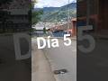 Día 5 robando cartón por el s26U #reciclaje #s26ultra #humor