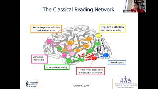 The Neurobiology of Reading Difficulties and How Reading Interventions Can Help