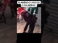 20 de outubro de 2025