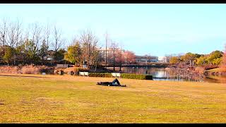 Pige - Nasal Jam Official Audio