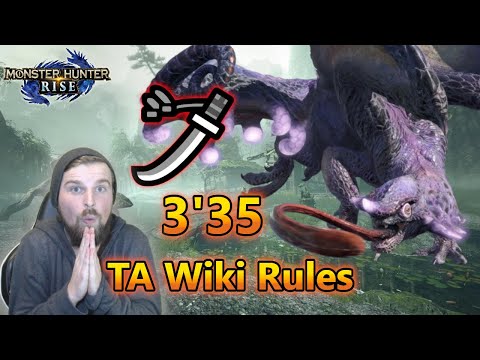 Heart Of A Hero TA Wiki Rules Speedrun Longsword Monster Hunter Rise 