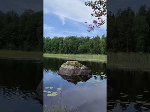 Wideo: Vuoksa – jezioro w regionie Leningradu