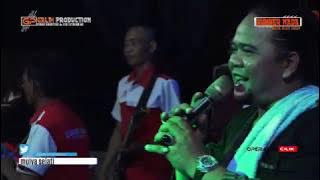 LAGU ANYAR SULTAN TRENGGONO DAGANG PINDANG