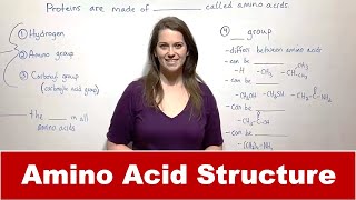 Amino Acid Structure and Bonding