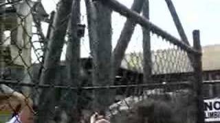 Lethal Weapon At Movie Word Warner Bros