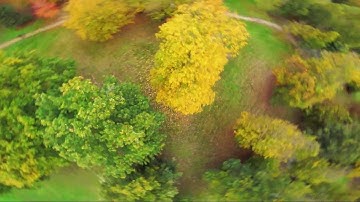 AMaNa FPV - Emuflight Tuning & Practise - RCinPower 2207.5 2750kv