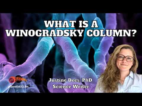 Ep. 36: What is a "Winogradsky column"?