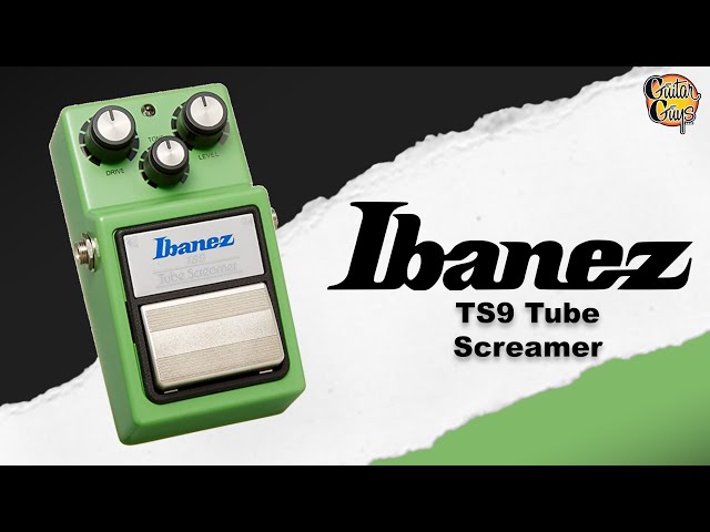 Dude Screamer /ibanez ts系 Dude Screamer /ibanez ts系 Dude