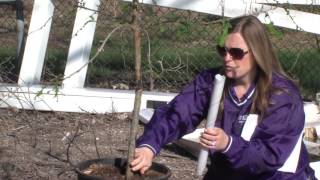 Extras from the Extension: Holly Dickman - Tree Planting