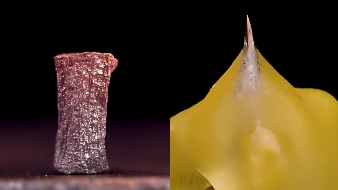 zoom short creator melting fishing line wormy b erry melting brush