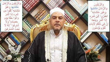 القرآن الكريم الفرق بين والزيتون والرمان مشتبها/والزيتون والرمان مشتابها
