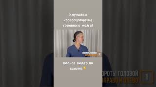 Улучшаем кровообращение головного мозга!