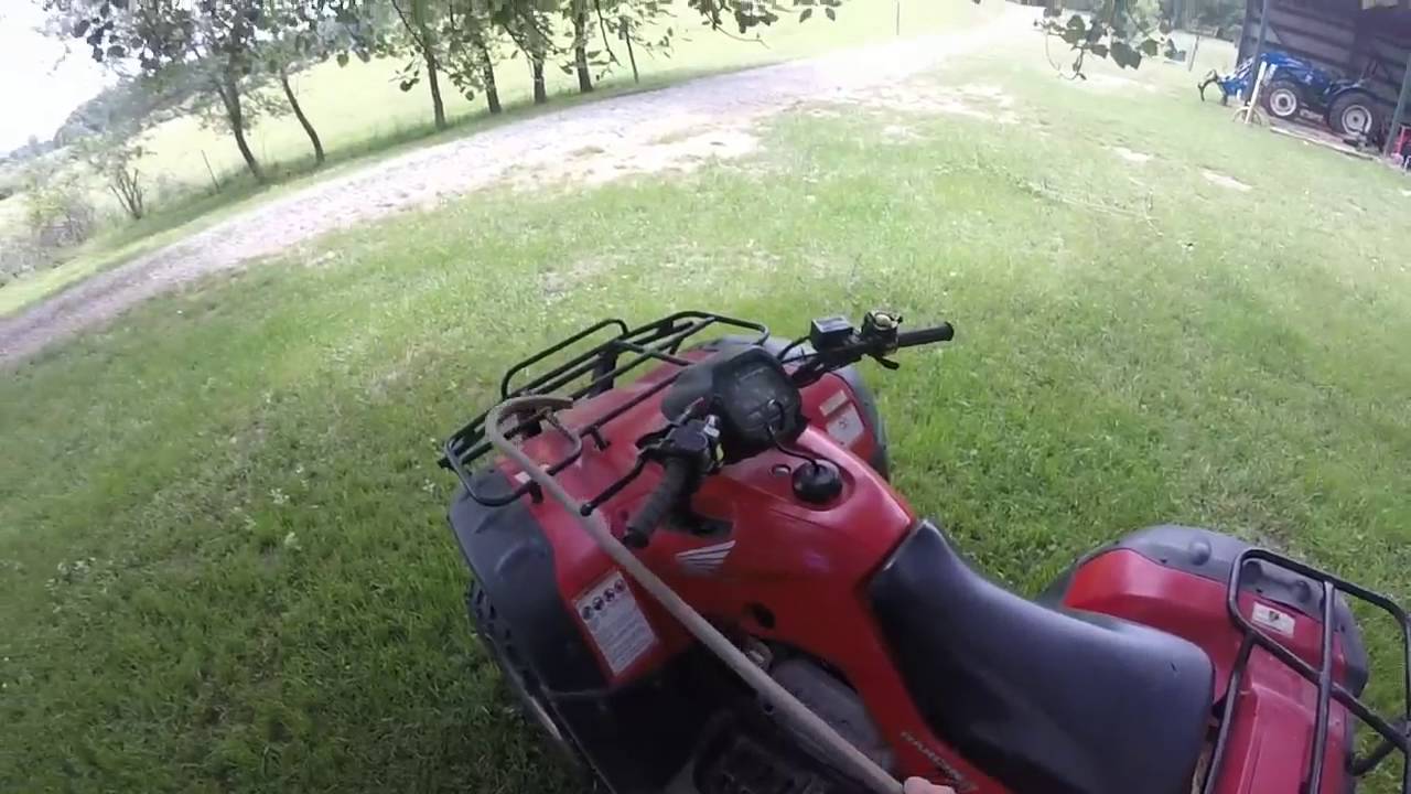 camera iphone 8 plus apk Snake in the Chicken Yard