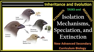 Inheritance And Evolution-13-Isolation Mechanisms, Speciation, &amp; Factors  Contribute to Extinction.