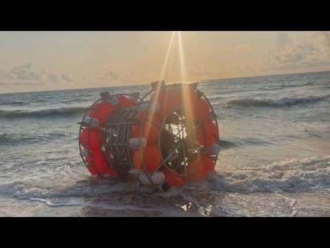 Unbelievable Florida Man June 22 Incident Will SHOCK You