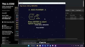 ASCII RUNNER (LÖVE2D Lua Game Dev) - CS50 Final Project