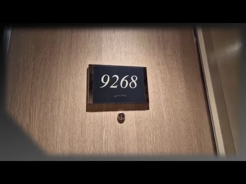 Video: Apa itu suite junior?