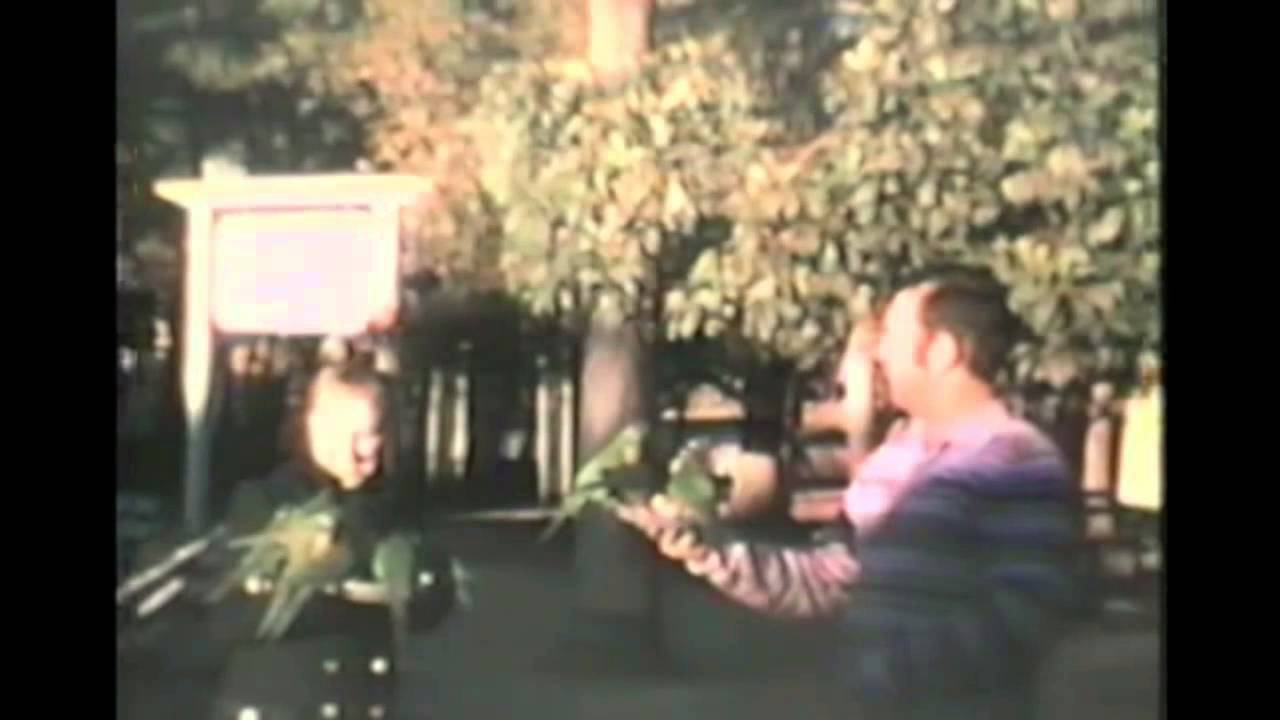 We Miss You, Dad video phone lyrics