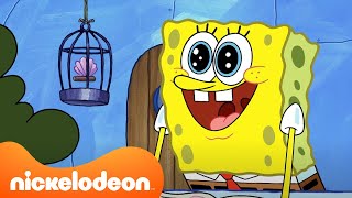 SpongeBob Grows Saltwater Trees in Bikini Bottom! | SpongeBob | Nickelodeon UK