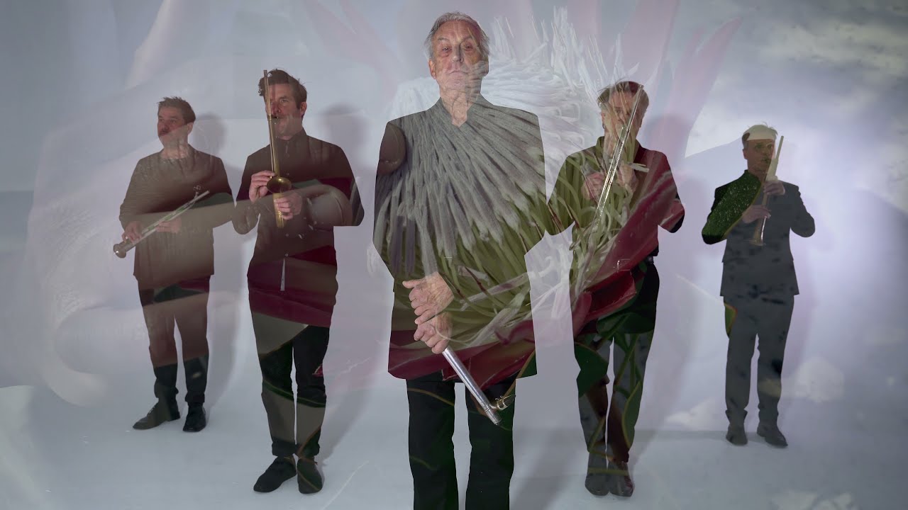 Artvark & Leo van Oostrom: A Slide's Nest