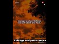 Courage and persistence outlast talent and luck — Productivity Motivation