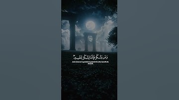 اكتب شئ تؤجر عليه😌🖤/ القارئ اسلام صبحي