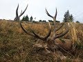 Hirschjagd in den Karpaten 2018 - Red stag hunting in the Carpathian Mountains 2018