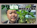 あり植物は肥料喰い