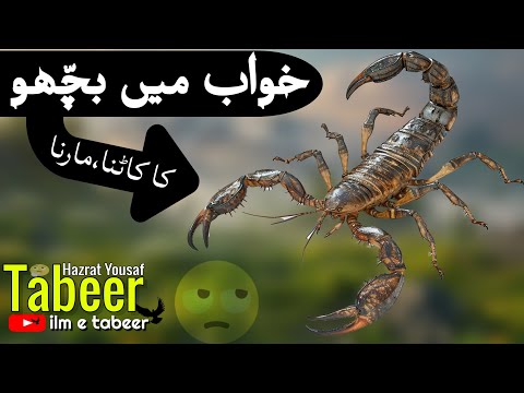 khwab mein bichoo