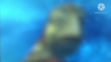 Finding Nemo - Marlin Meets Crush