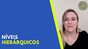 O que é nível hierárquico exemplos?