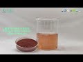 Grape Seed Extract 95% Procyanidins Water Solubility Test