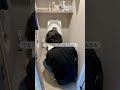 アラフォー夫婦子供って..