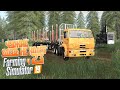 Новая вахта в тайге Готовимся к зиме - ч23 Farming Simulator 19