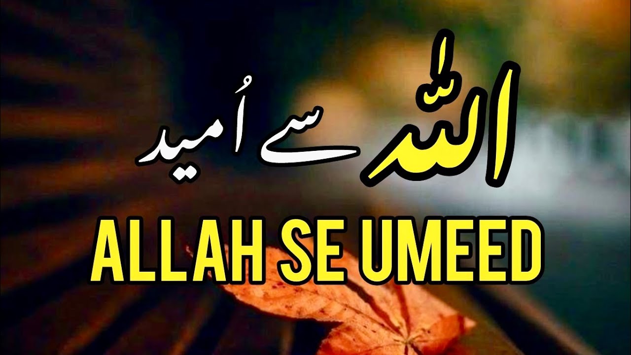 ALLAH SE UMEED || SPIRITUAL QUOTES COLLECTION || Samsdiaryquotes 