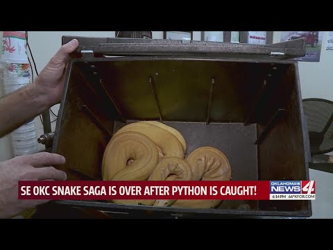 SE OKC snake saga is over after python is caught!