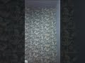 Vlog Biti Min Dert Lih L Papier Peint Ou Sbegto Ja Ghzal Vlog Biti Min Dert Lih L Papier Peint Ou Sbegto Ja Ghzal
