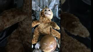 IMG 1683