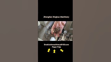 Paper Pulp Detwatering with Screw Press