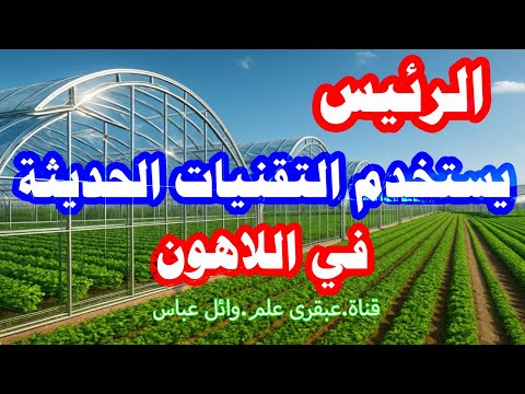 أعجوبة اللاهون أضخم مشروع صوب زراعية في مصر والشرق الأوسط قناة عبقرى علم