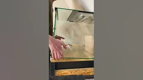 Собираю новый террариум