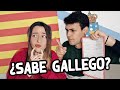 Mi novia CATALANA sabe GALLEGO? La pongo a prueba 🙊