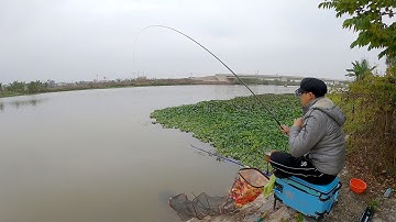 Câu Cá Diếc, Cá Dưng CỤ - Trải nghiệm điểm Câu Cống Lân II (MAP 👇) | Fishing | Câu Đài | Tập 3