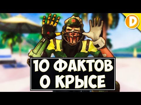 10 Фактов о Крысавчике, которые вы могли не знать