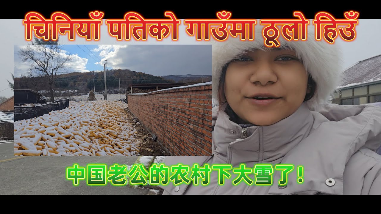 चिनियाँ पतिको गाउँमा ठूलो हिउँ&中国老公的农村下大雪了！